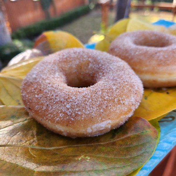 A glazed donut with sprinkle sugar filled with rich eggnog cream, showcasing a soft, fluffy interior and a festive holiday appeal.