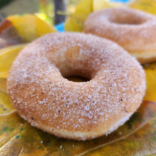 A sugar-glazed donut filled with rich eggnog cream, showcasing a soft, fluffy interior and a festive holiday appeal.