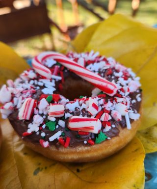 A donut with chocolate icing, topped with crushed candy canes, festive sprinkles, snowflake accents, and a whole candy cane, perfect for Christmas celebrations.