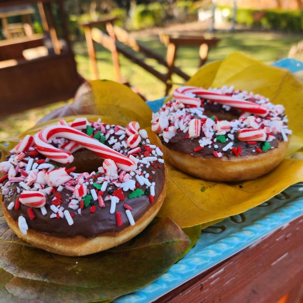 A donut with chocolate icing, topped with crushed candy canes, festive sprinkles, snowflake accents, and a whole candy cane, perfect for Christmas celebrations.